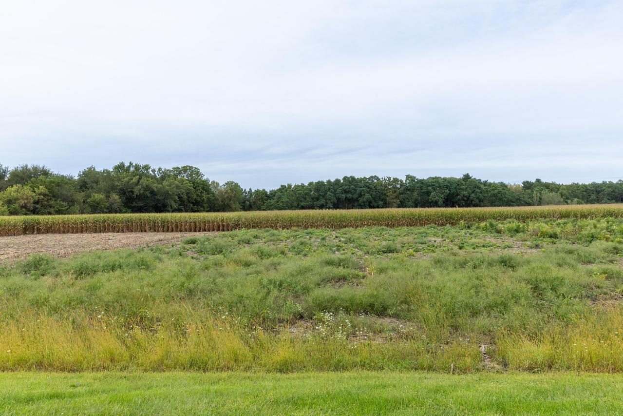 Lot 7 Old Hwy 16 -, Hamilton, WI 54669