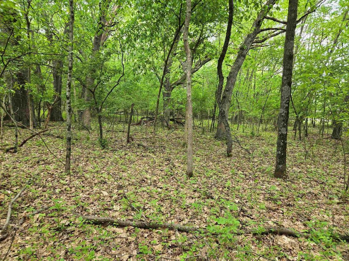 Lt0 Oxbow Trl, Princeton, WI 54968