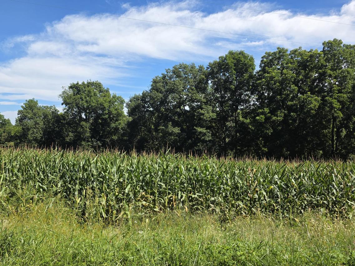 Lot 2 Charlies Ln, Greenfield, WI 54623