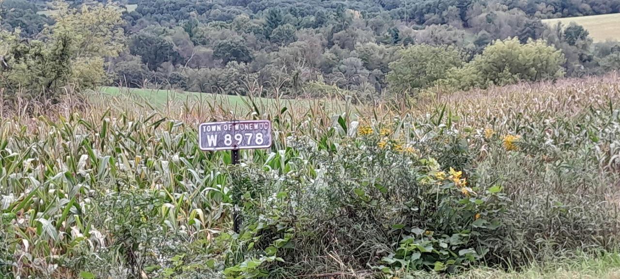 W8978 Preuss Rd, Wonewoc, WI 53929