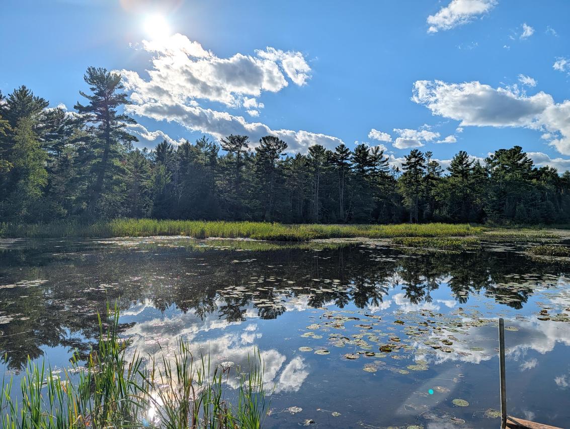 1325 Eaglewatch Ct #Lot 2, Saint Germain, WI 54558