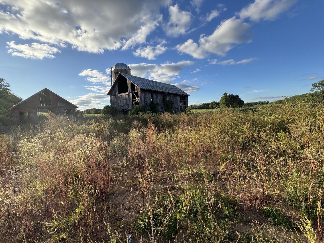N6263 State Road 22 -, Shields, WI 53949