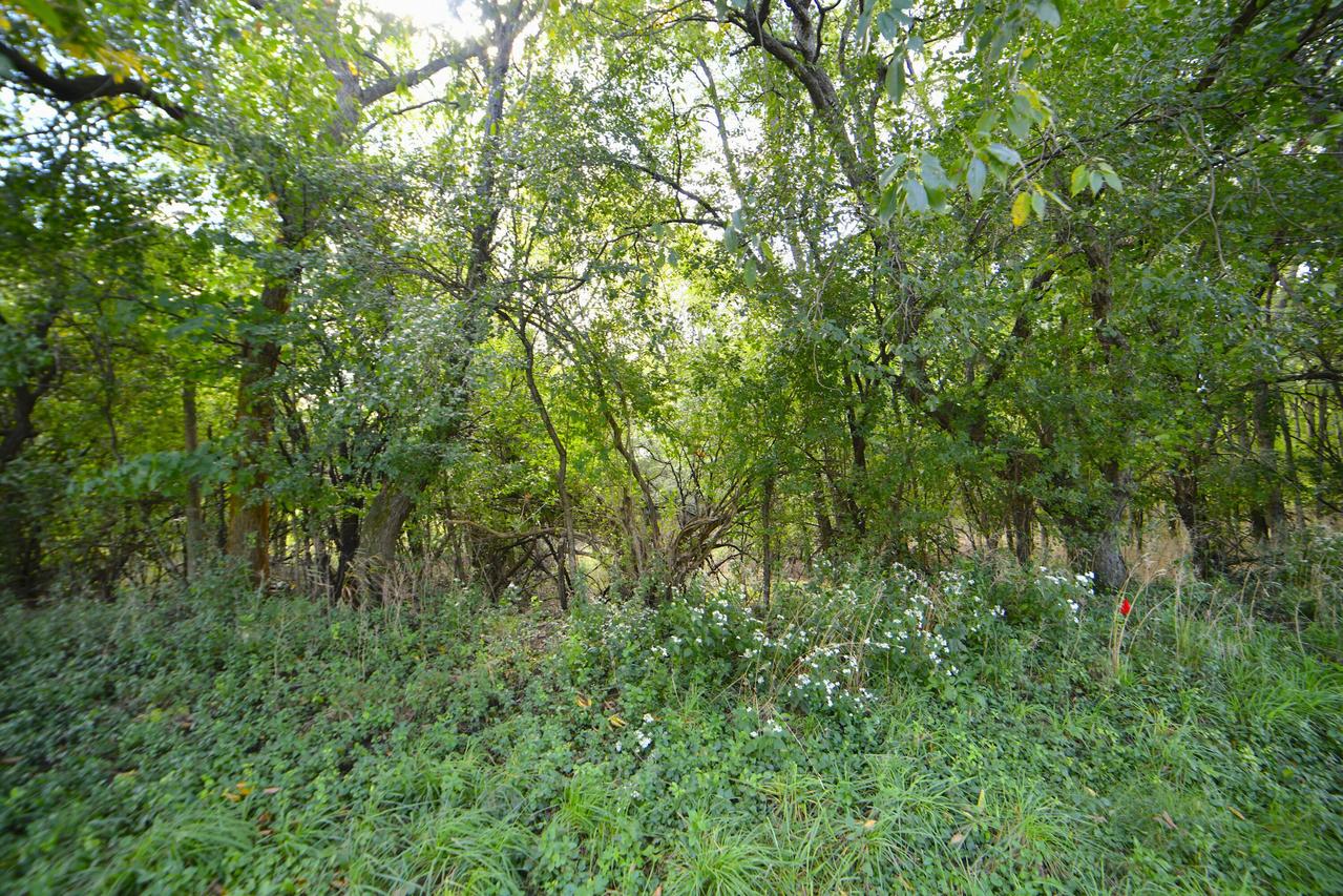 W380N6197 Highway 67 -, Oconomowoc, WI 53066