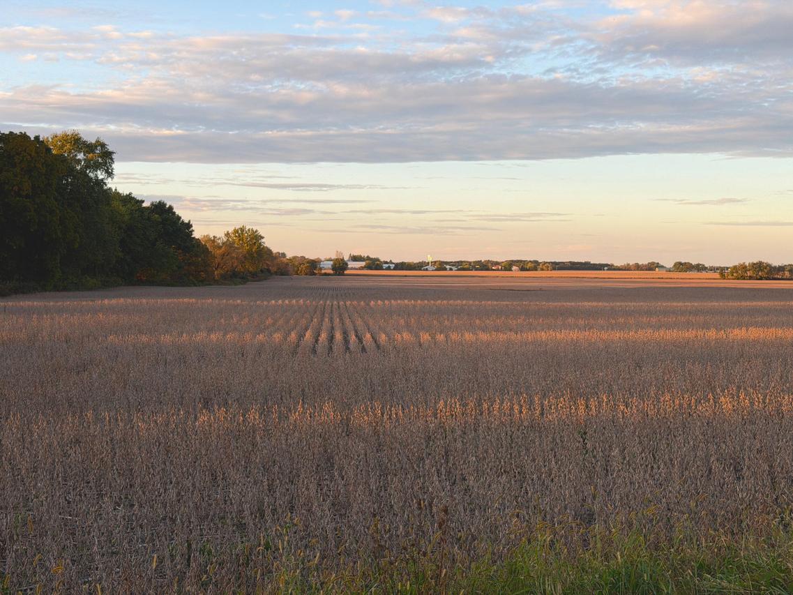 Lot 1 Bray Rd, Lafayette, WI 53121