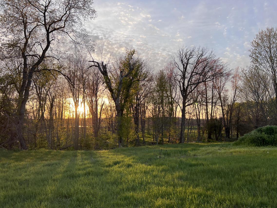 lot 1 Camp Awana Rd., Farmington, WI 53021