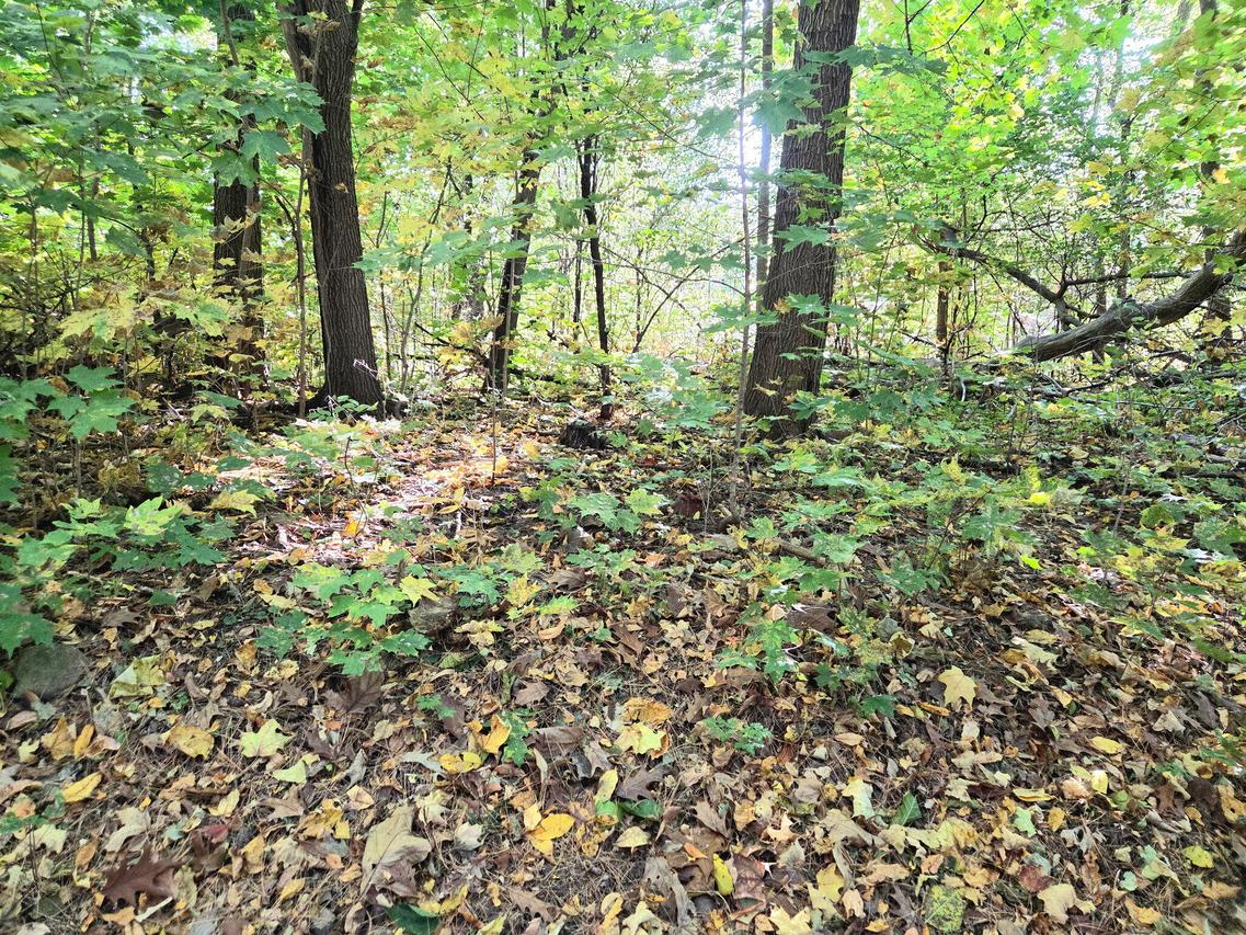 Lt Tippecanoe Trl, Sugar Creek, WI 53121