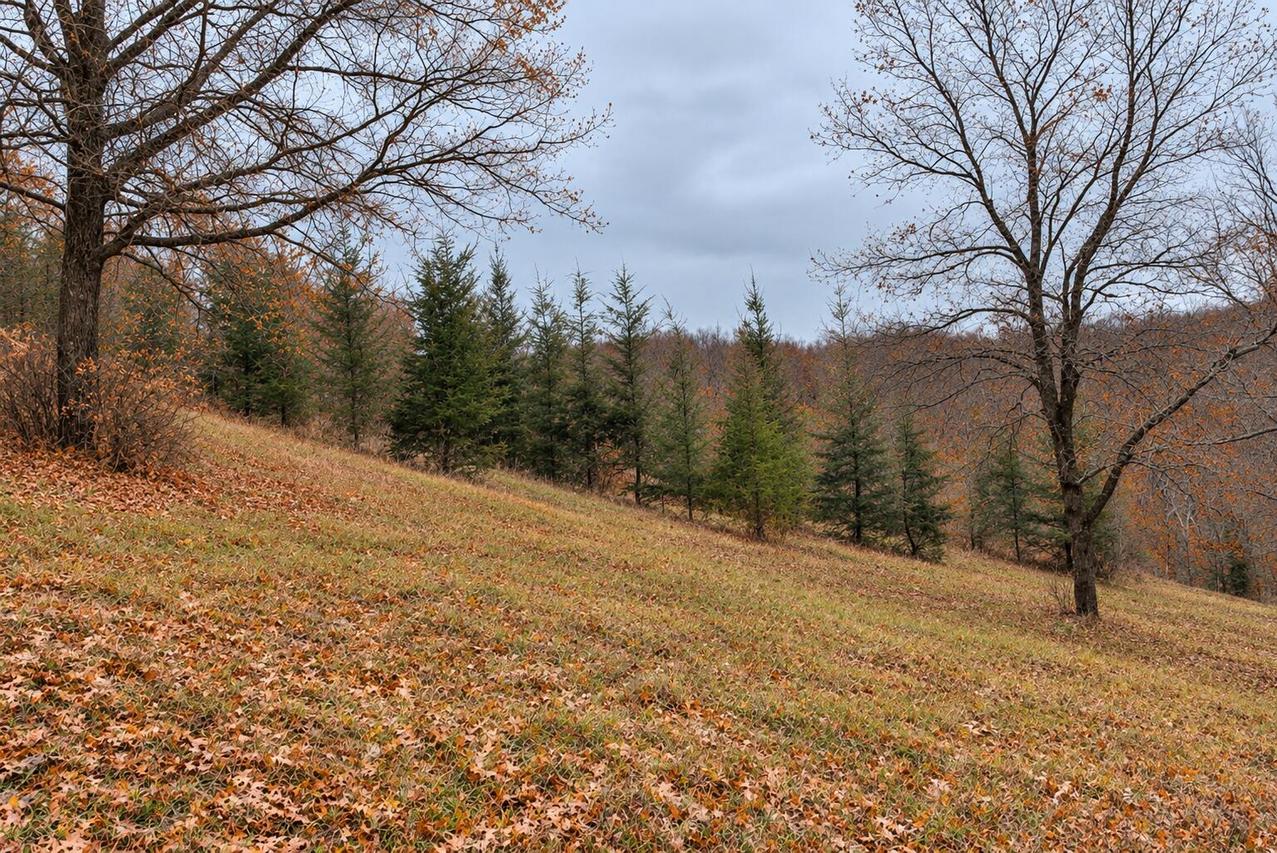 70 Ac Harris St, Stark, WI 54639