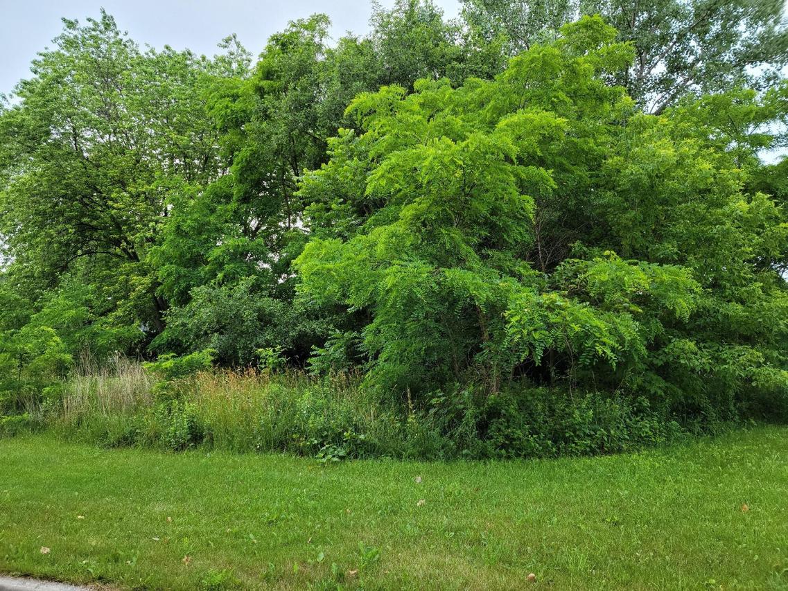 Lt0 14th Ave, Kenosha, WI 53144