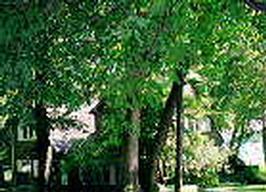 N64W31151 Beaver Lake, Merton, WI 53029