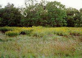 21780 W Bonnie Ln #Lt1, Lannon, WI 53046