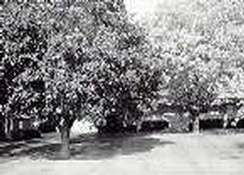 15500 W Cleveland Av, New Berlin, WI 53151