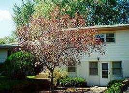 [Address Hidden by Seller], La Crosse, WI 54601