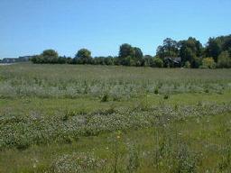 [Address Hidden by Seller], Delafield, WI 53018