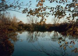 N1217 N County Road K -, Watertown, WI 53098