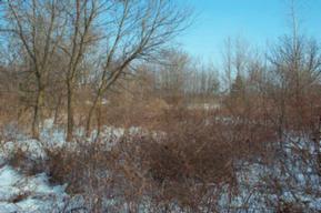 8025 S Center Dr., Vernon, WI 53189