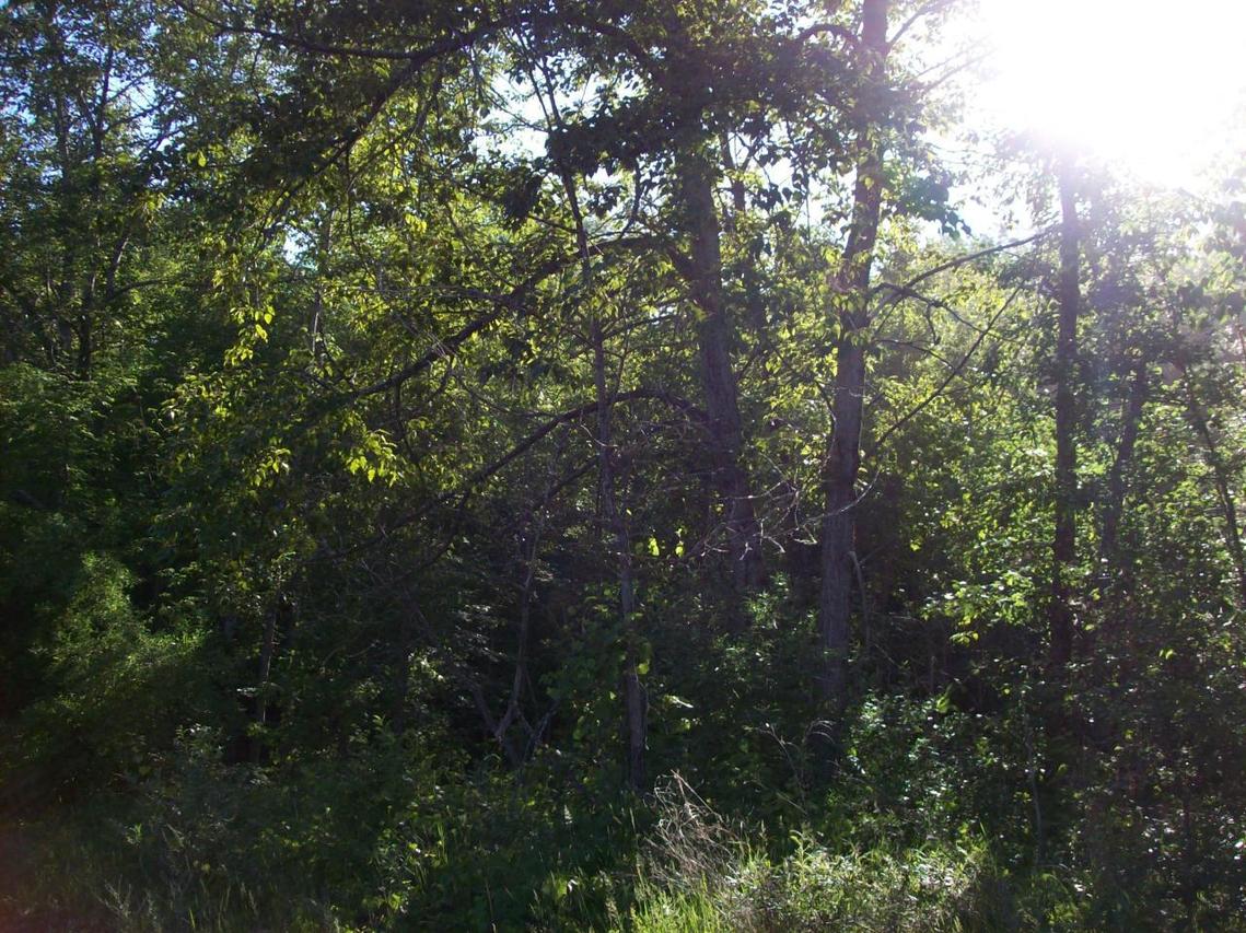 Hill Side Rd, Stephenson, WI 54114