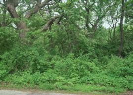 Valley View, Waterford, WI 53185