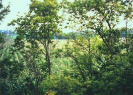 [Address Hidden by Seller], East Troy, WI 53120