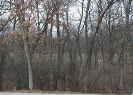 1740 Royal St George Ct, Geneva, WI 53147