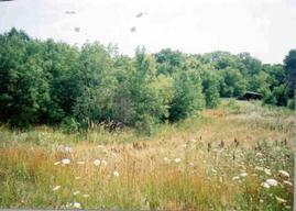 3241 Hwy 31, Caledonia, WI 53405