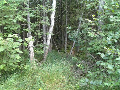 Townline Rd, Stephenson, WI 54114