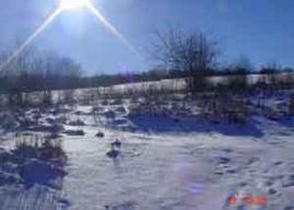 Green Acres Rd., Franklin, WI 54665