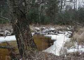 Apollo Rd., New Lyme, WI 54615