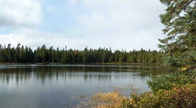 Wolf Lake Rd., Wausaukee, WI 54177