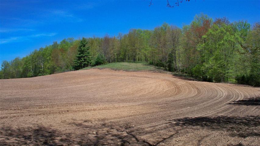 7362 Lee Lake Rd., Brazeau, WI 54112