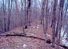 RR Slagle Rd., Stark, WI 54639