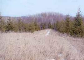 RR Slagle Rd., Stark, WI 54639