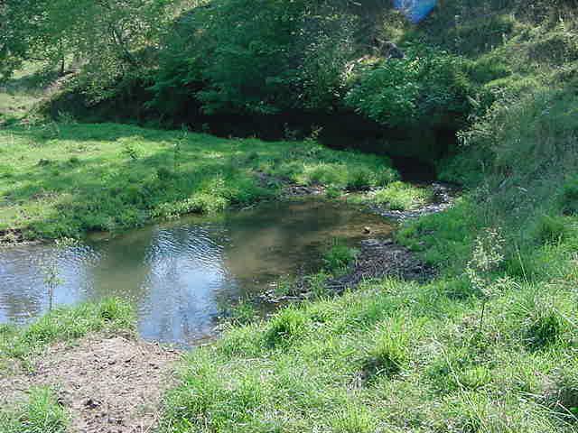 Newark Ave., Jefferson, WI 54619