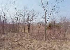 Lt1 Spring Hill Dr., Cedarburg, WI 53012