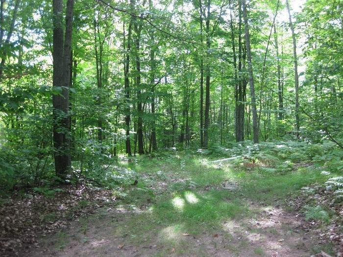 TBD Cemetery Rd., Pembine, WI 54156