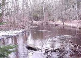 W18472 Norway Pine Ln., Wittenberg, WI 54499