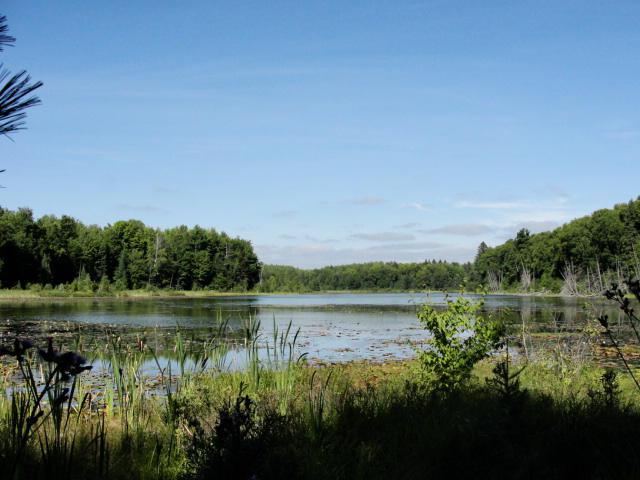 886 Revolver Lake Rd., Blackwell, WI 54541