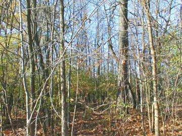 LT3 Wilson Dr., Menomonee Falls, WI 53051