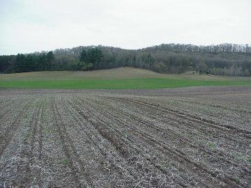 LT1 Jamboree Rd., Leon, WI 54656