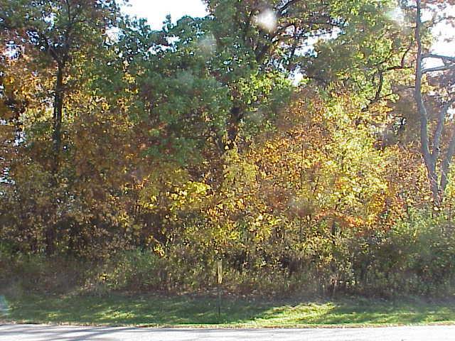 1681 Prestwick Dr. #(20-37), Geneva, WI 53147