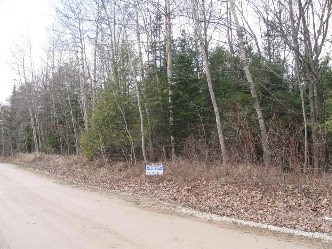 TBD Brickner Ln., Brazeau, WI 54112