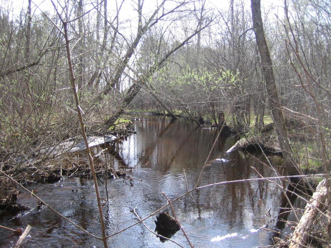 Pike River Rd., Wausaukee, WI 54177