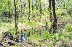 814 W Park Manor Ct., Jackson, WI 53012