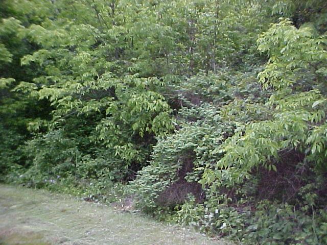 Chapin, Linn, WI 53147