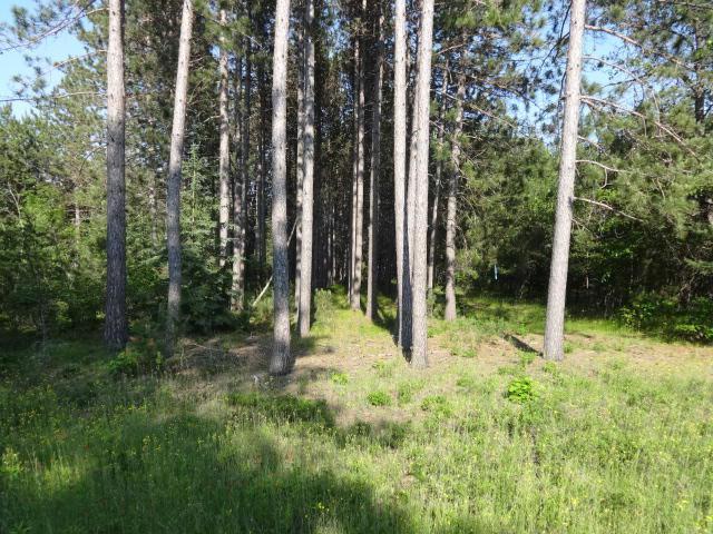 Ila Rd., Wausaukee, WI 54177