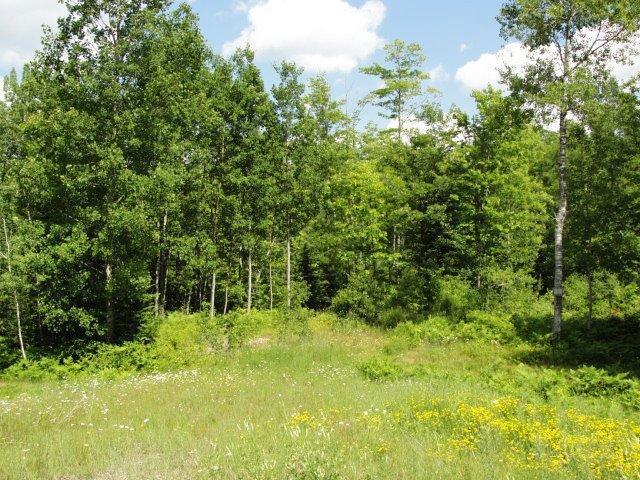 TBD Hwy 101, Armstrong Creek, WI 54103