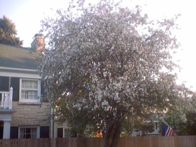 [Address Hidden by Seller], Fox Point, WI 53217