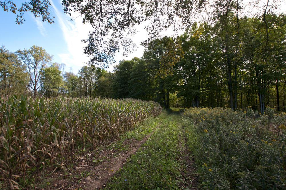 Wilcox Ln., Grover, WI 54157