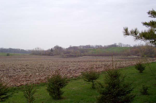 Land Pigeon Lake Rd., Liberty, WI 54245