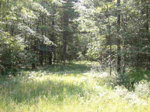 Betts Rd., Wausaukee, WI 54177