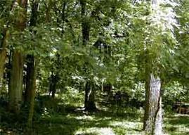 W4533 Basswood Dr., Linn, WI 53147